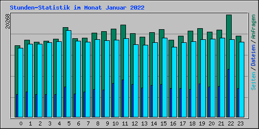Stunden-Statistik im Monat Januar 2022