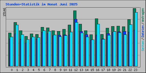 Stunden-Statistik im Monat Juni 2025