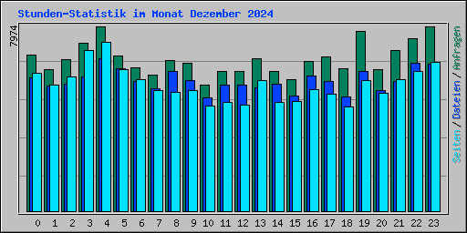 Stunden-Statistik im Monat Dezember 2024