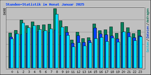 Stunden-Statistik im Monat Januar 2025