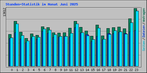 Stunden-Statistik im Monat Juni 2025