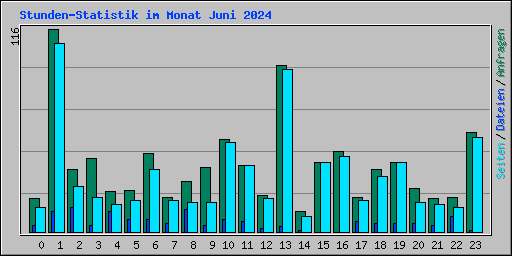 Stunden-Statistik im Monat Juni 2024