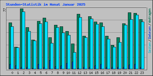 Stunden-Statistik im Monat Januar 2025