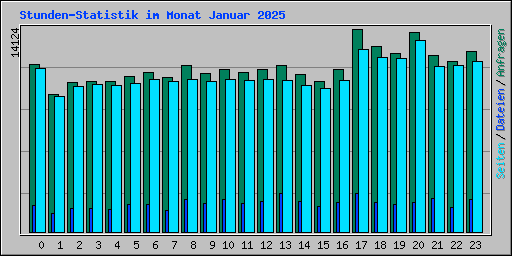 Stunden-Statistik im Monat Januar 2025