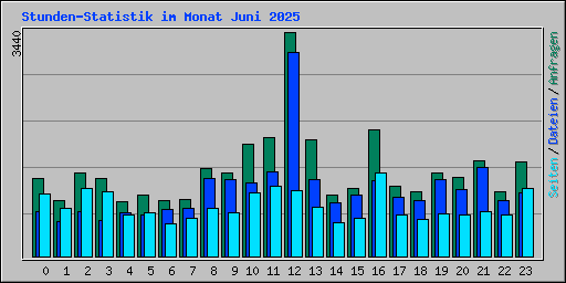 Stunden-Statistik im Monat Juni 2025